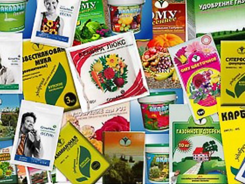 Фото избранной категории 11