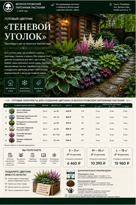 Готовый цветник «Теневой уголок» для озеленения бани - тень