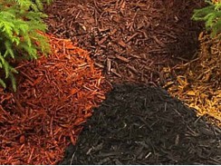 Фото избранной категории 10