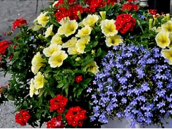 Фото избранной категории 7