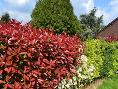 Фото избранной категории 1