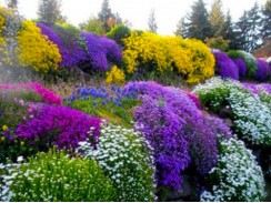 Фото избранной категории 2