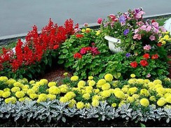 Фото избранной категории 6