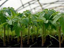 Фото избранной категории 8