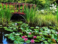 Фото избранной категории 9