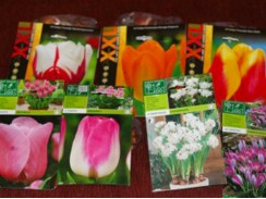 Фото избранной категории 12