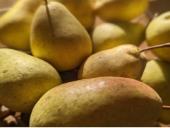 Груша "Чижовская" (Контейнер 11,0л.)