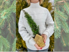 Кипарисовик туевидный "Top Point" (Контейнер 0,5л) NY