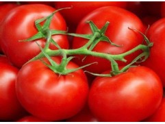 Томат Томат