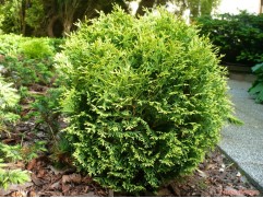 (Контейнер 1,5л.)