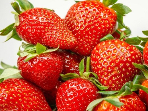 Земляника ремонтантная крупноплодная 