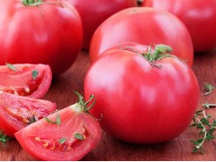 Томат 