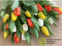 Изготовление букета 