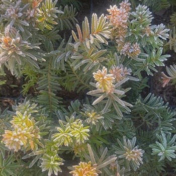 режим работы