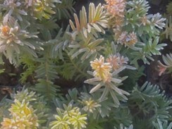 Фото избранной категории 1